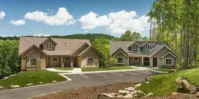Two houses are sitting next to each other on a lush green hillside.