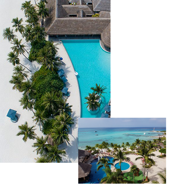 An aerial view of a swimming pool surrounded by palm trees