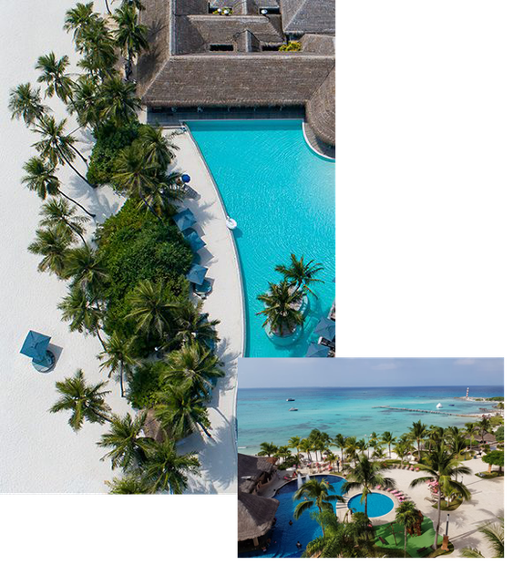 An aerial view of a swimming pool surrounded by palm trees