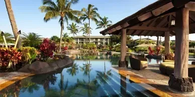 A large swimming pool surrounded by palm trees and a gazebo.