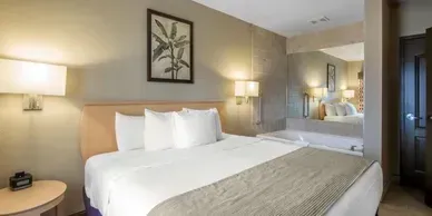 A hotel room with a king size bed and a jacuzzi tub.