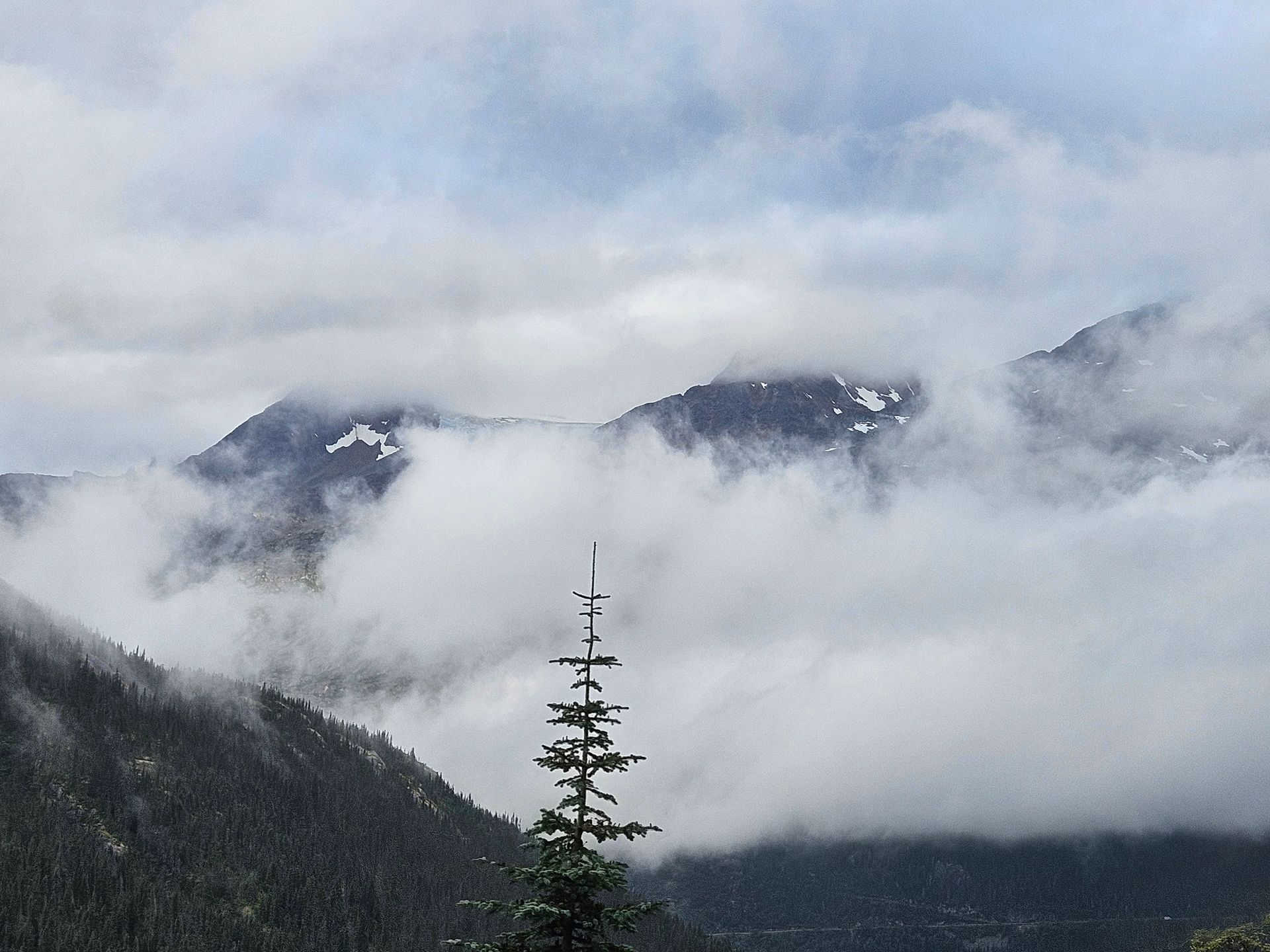 Mountains partially obscured by clouds, with a lone tree in the foreground.