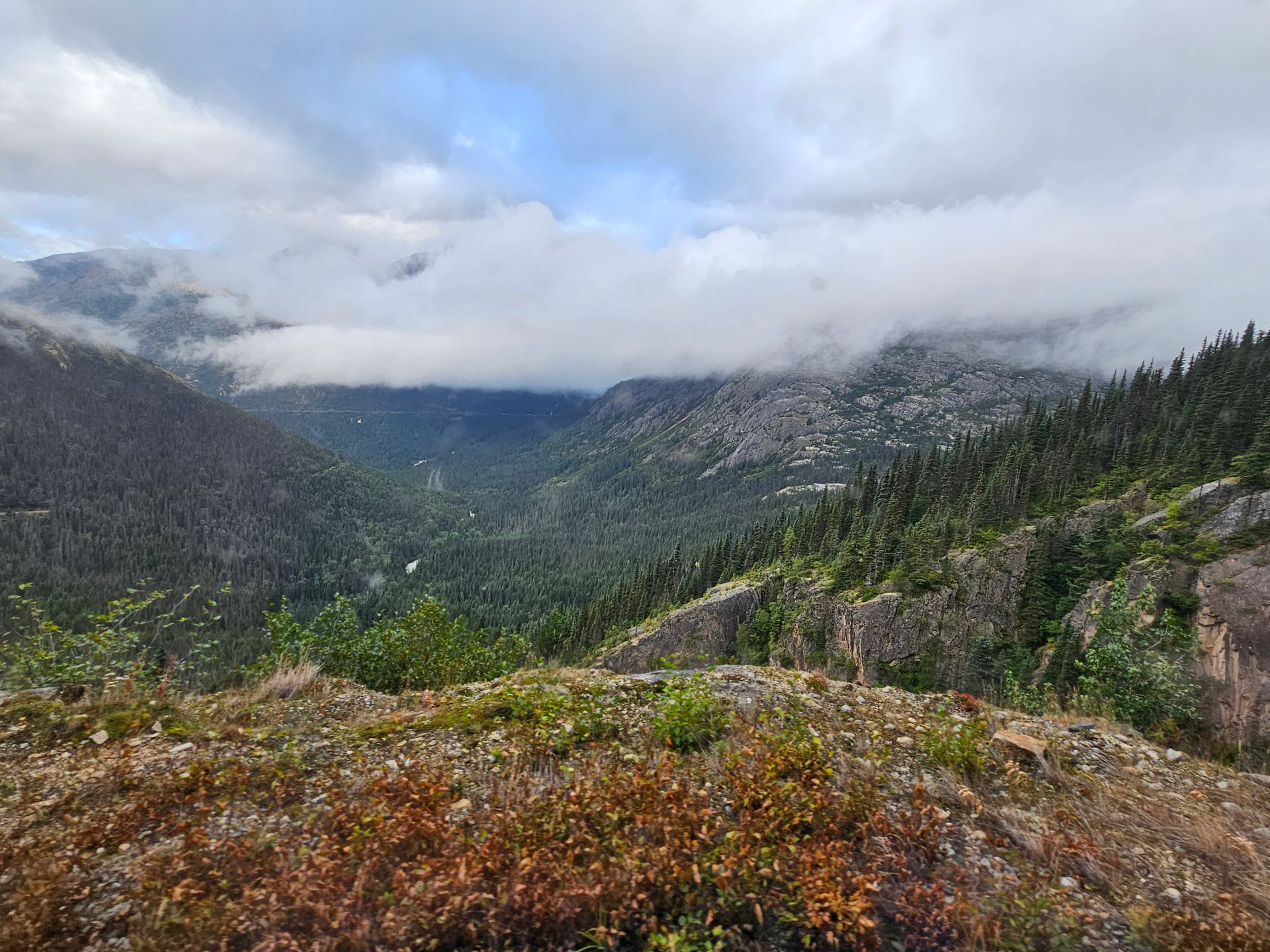 Overlook of a mountain valley, with low-lying clouds, evergreen trees, and rocky terrain.