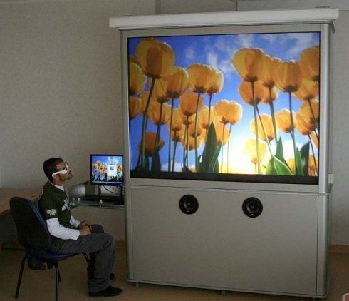 Una persona che indossa gli occhiali è seduta di fronte a un grande schermo con una decorazione floreale; sotto lo schermo ci sono due altoparlanti.