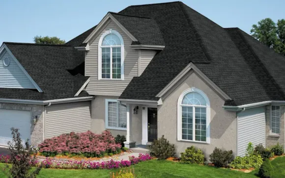 A two-story house with a black roof, beige siding, and arched windows. Landscaped front yard.