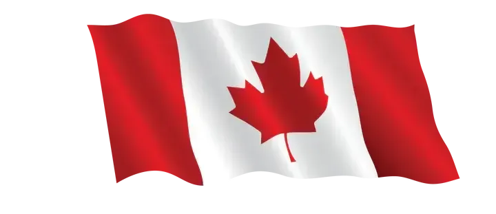 A canadian flag with a maple leaf on it
