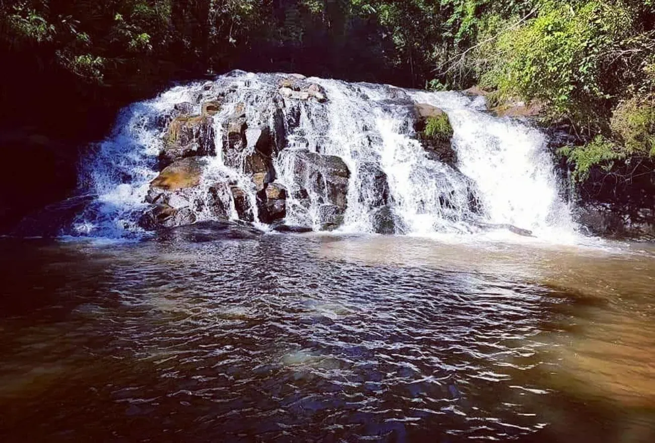 Cachoeira que deságua em uma piscina de água escura, cercada por uma folhagem verdejante.