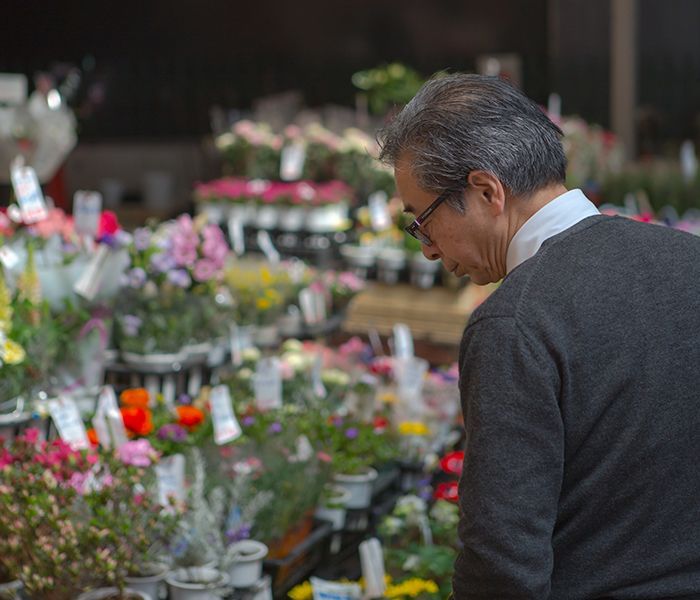 A Japanese man looks at a display of flowers
