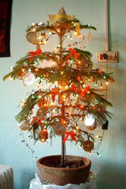 missionary christmas tree