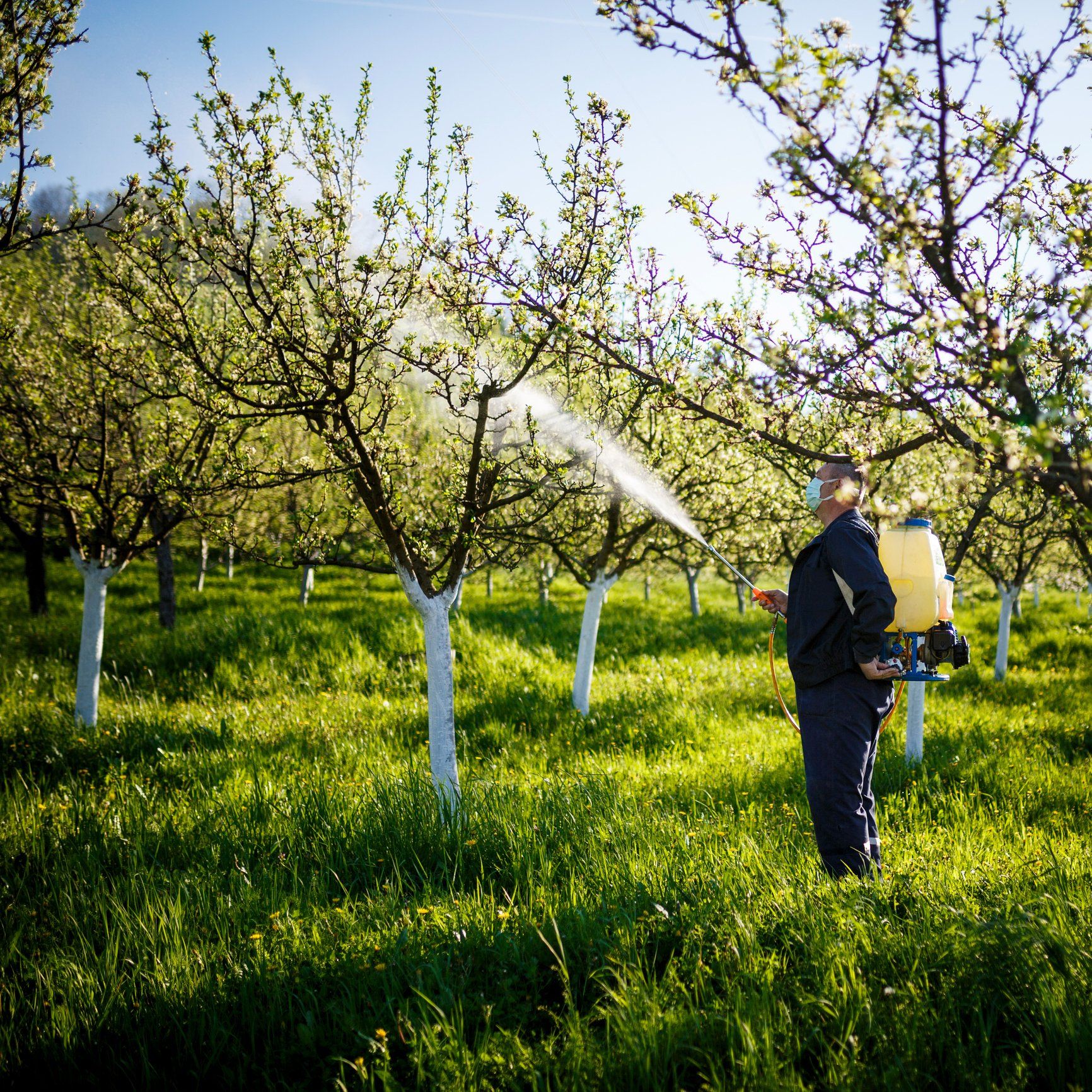 Tree care — Denver, CO — Complete Tree Care