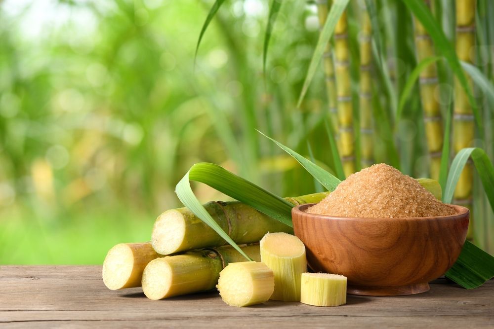 Sugar cane and sugar in a wooden bowl on a wooden table.