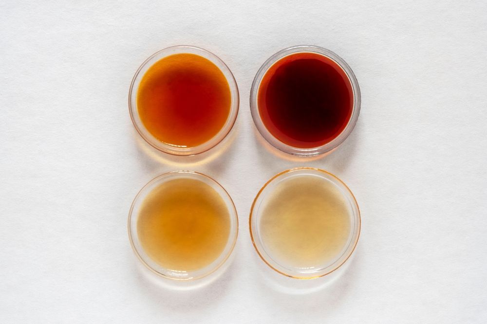 Four small bowls filled with different colored maple syrup on a white surface.