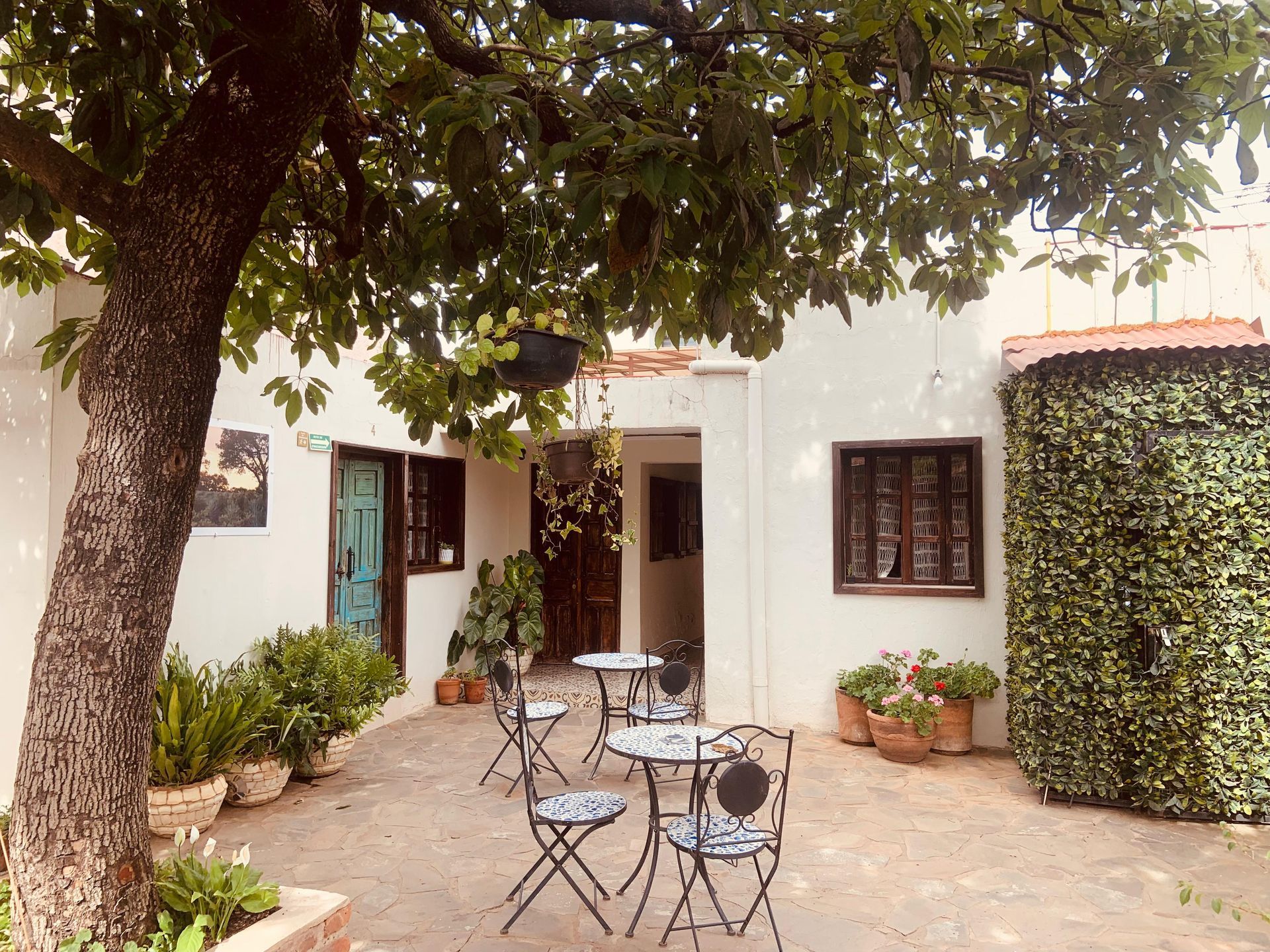 Patio espacioso y comodo para tomar un descanso con plantas decorativos 