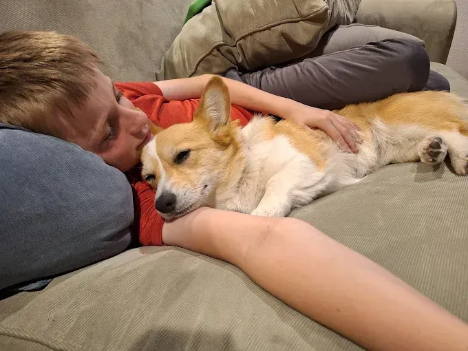 Boy cuddles with a corgi dog on a couch. The dog rests its head on the boy’s arm, appearing content.