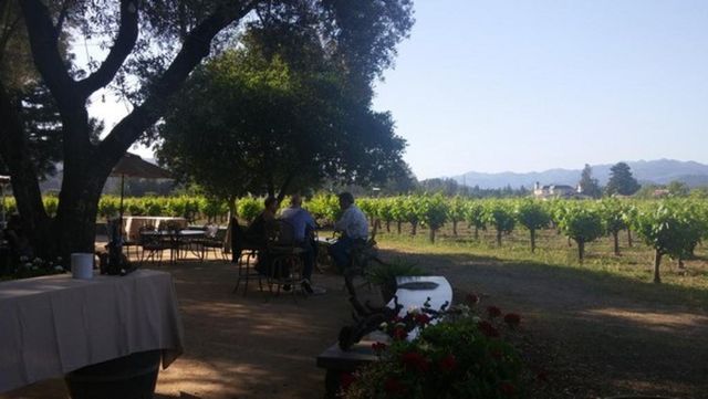 A group of people are sitting at a table in a vineyard