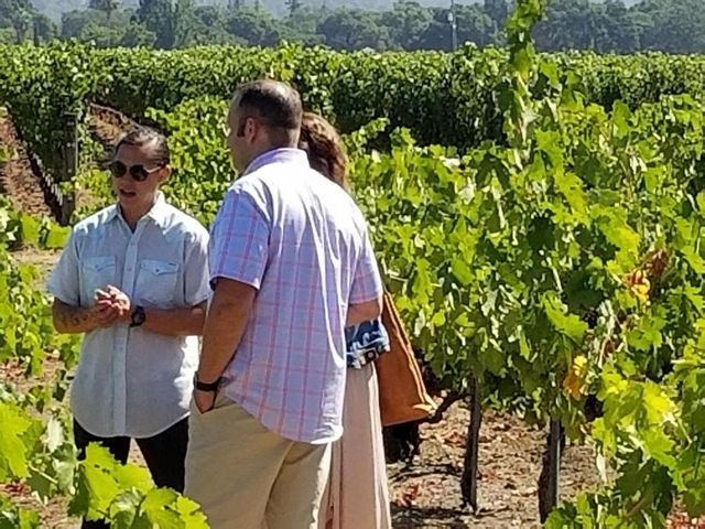 A group of people are standing in a vineyard talking to each other.