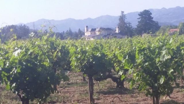 A vineyard with a house in the background and mountains in the background.