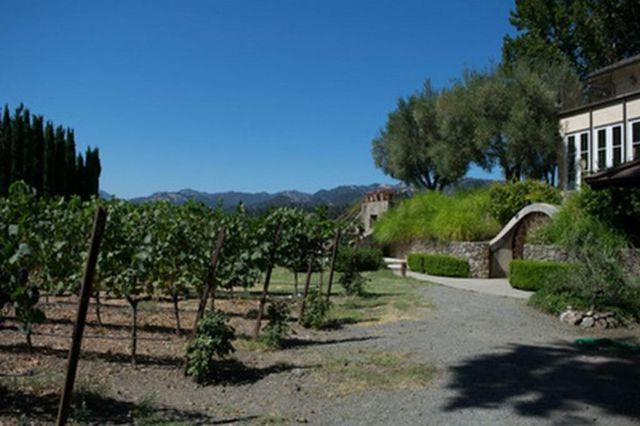 A dirt road going through a vineyard with mountains in the background.