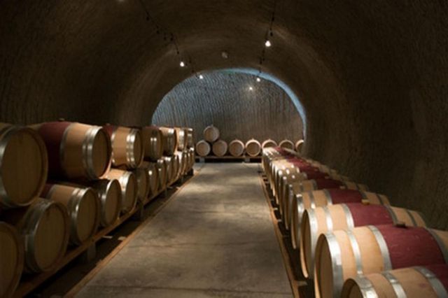 A row of wine barrels are lined up in a wine cellar.