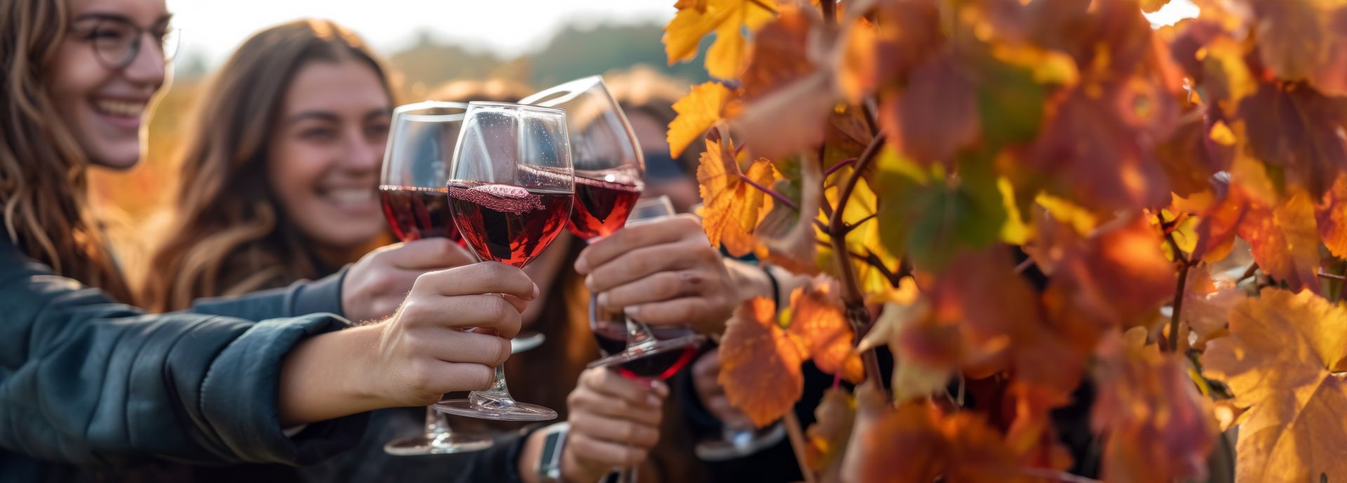 friends-clink-glasses-drinking-wine-in-a-grape vineyard