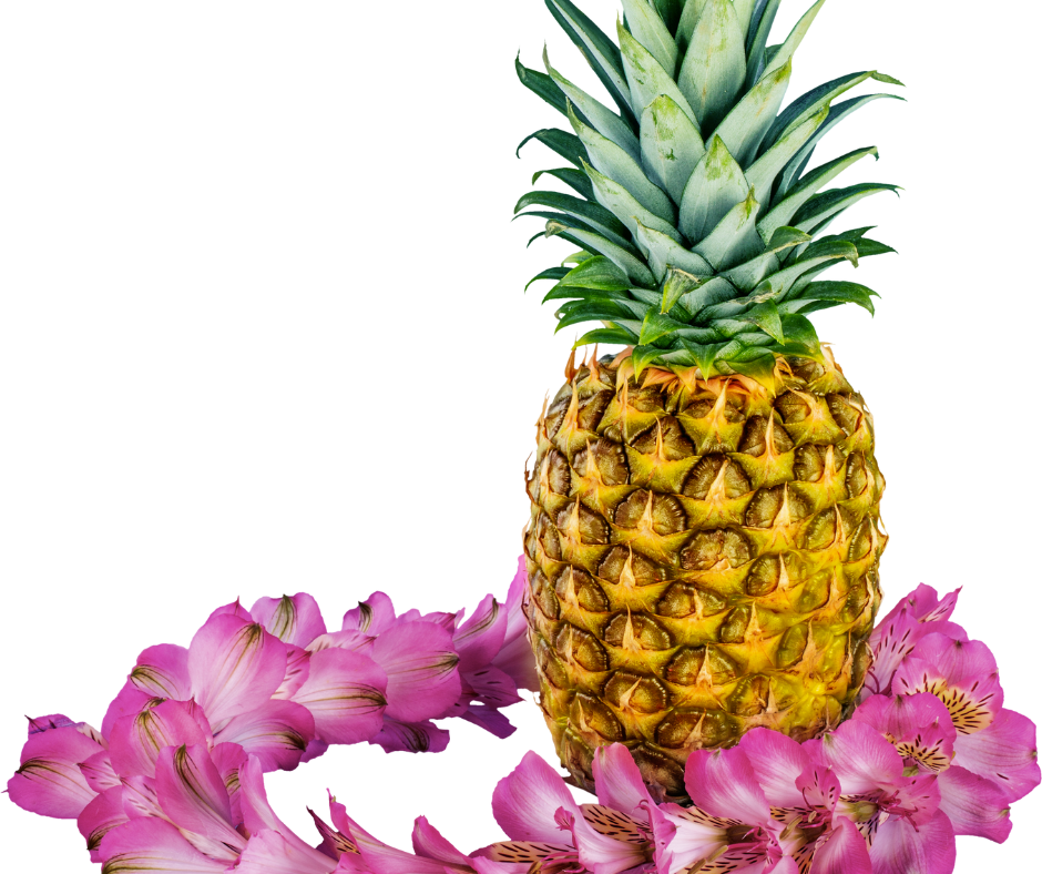 Aloha & action a message from heather payne children 's hope foster family agency
