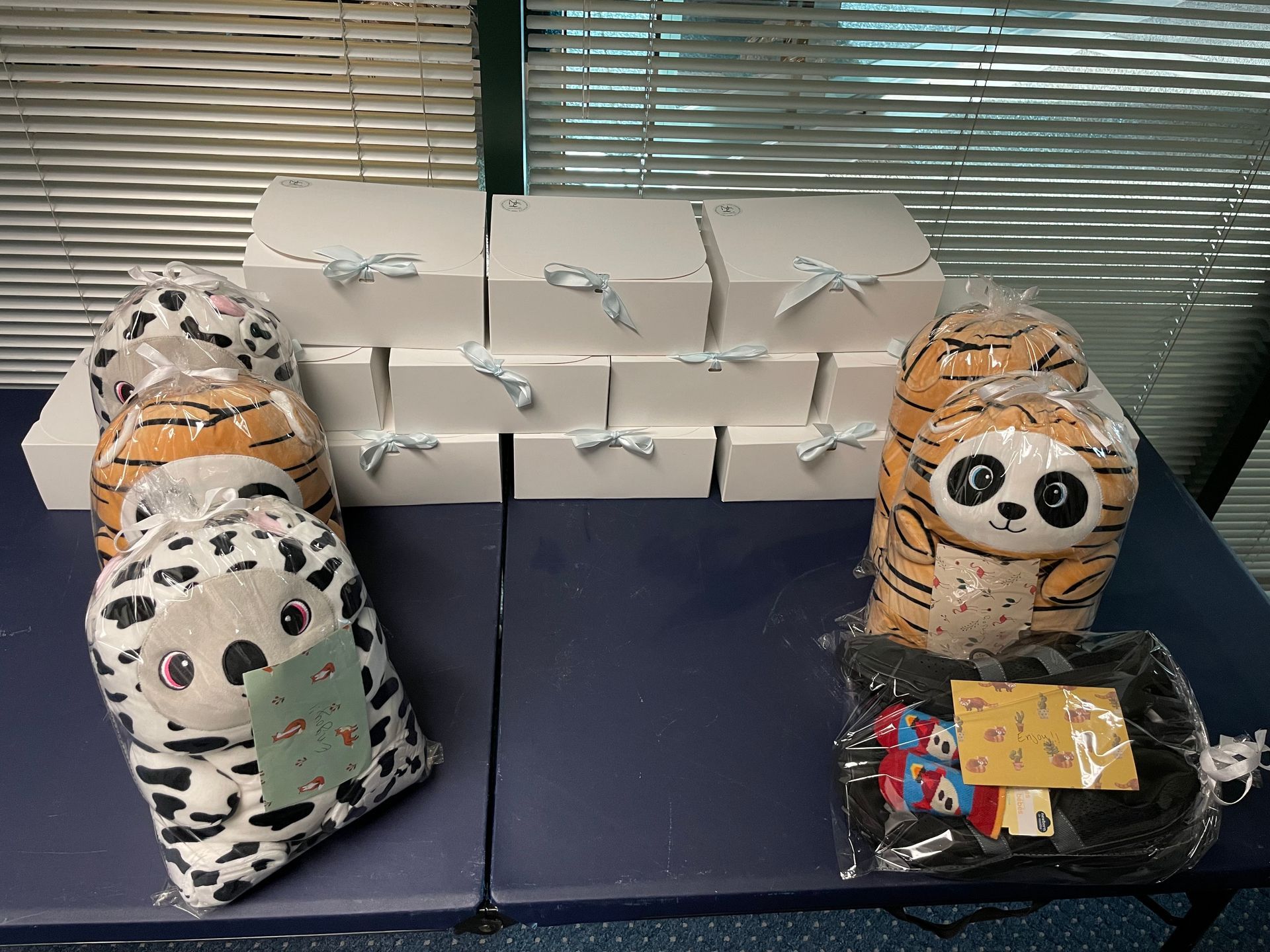 care kits tied with ribbons and stuffed animals wrapped in clear wrap.