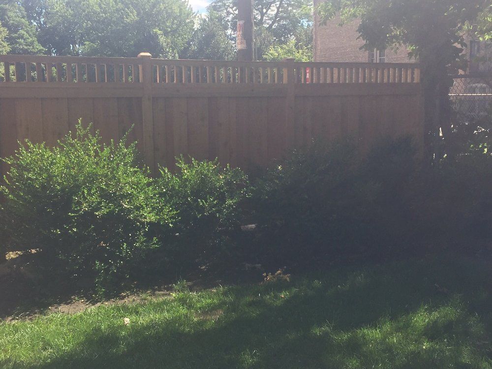 Fence with Plants and Trees — Maywood, IL — Anaya and Sons Fence Company