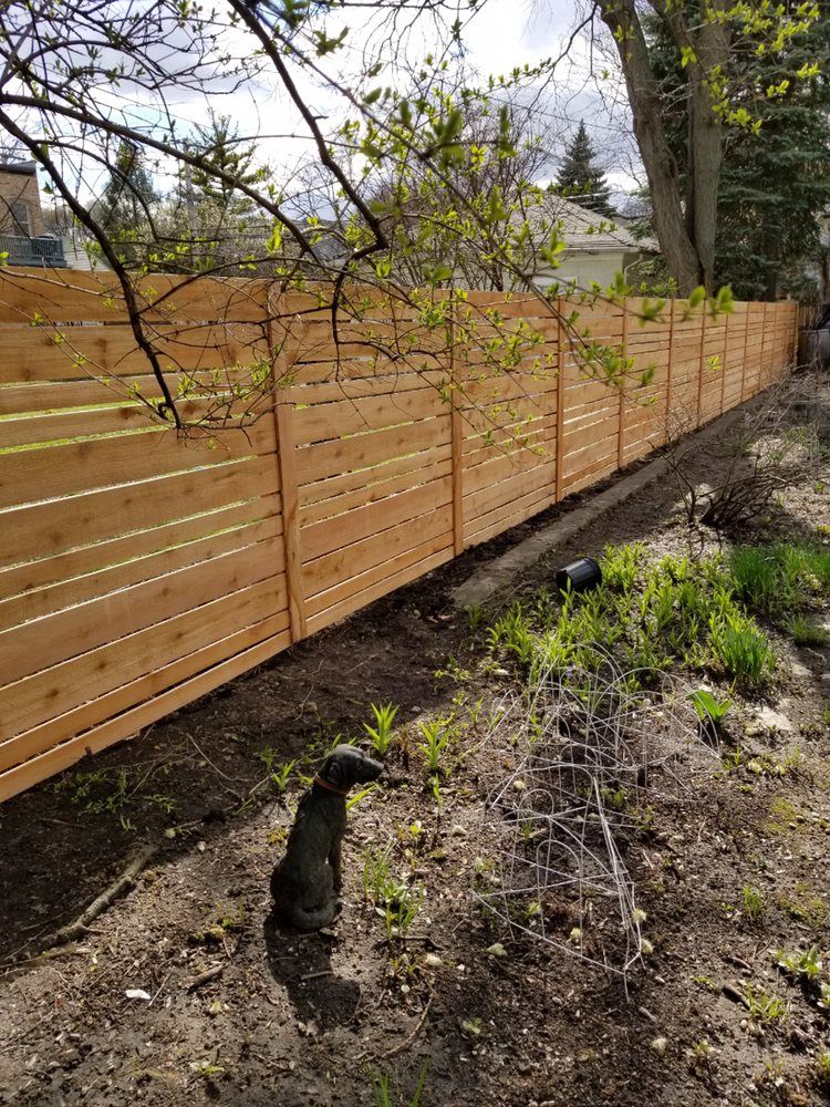 Dog Outside the Fence — Maywood, IL — Anaya and Sons Fence Company