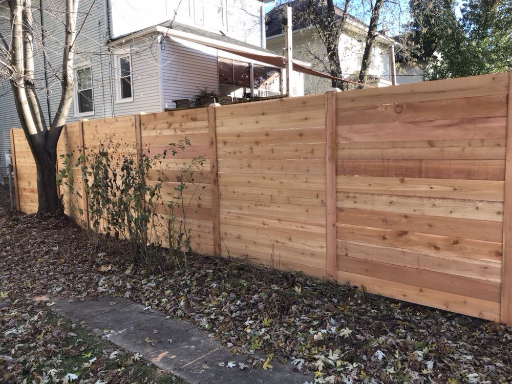 Tree without a Leaves and Fence — Maywood, IL — Anaya and Sons Fence Company