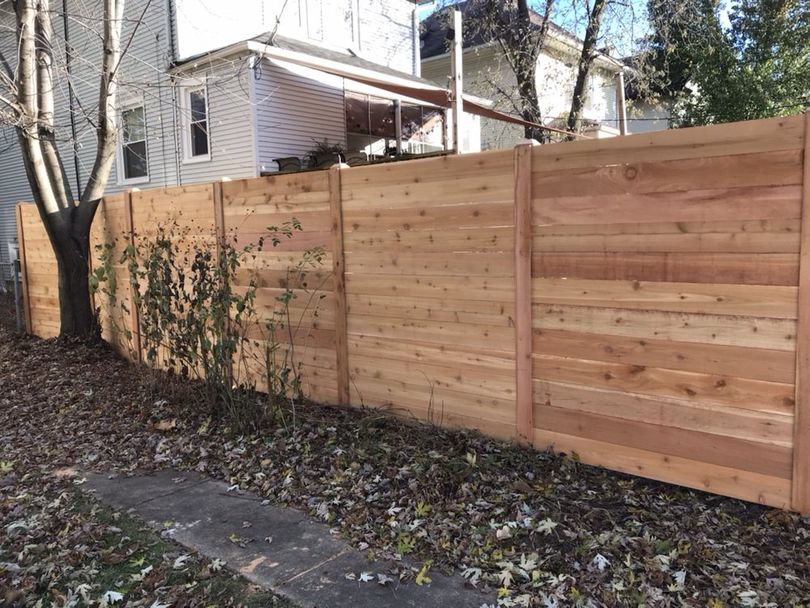 Tree without a Leaves and Fence — Maywood, IL — Anaya and Sons Fence Company