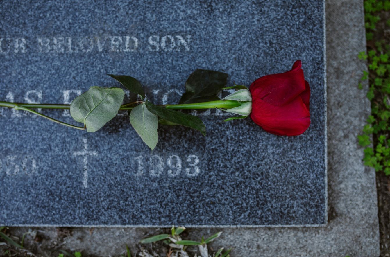 red rose resting on a gravestone in quiet remembrance at a cemetery in el cenizo, tx