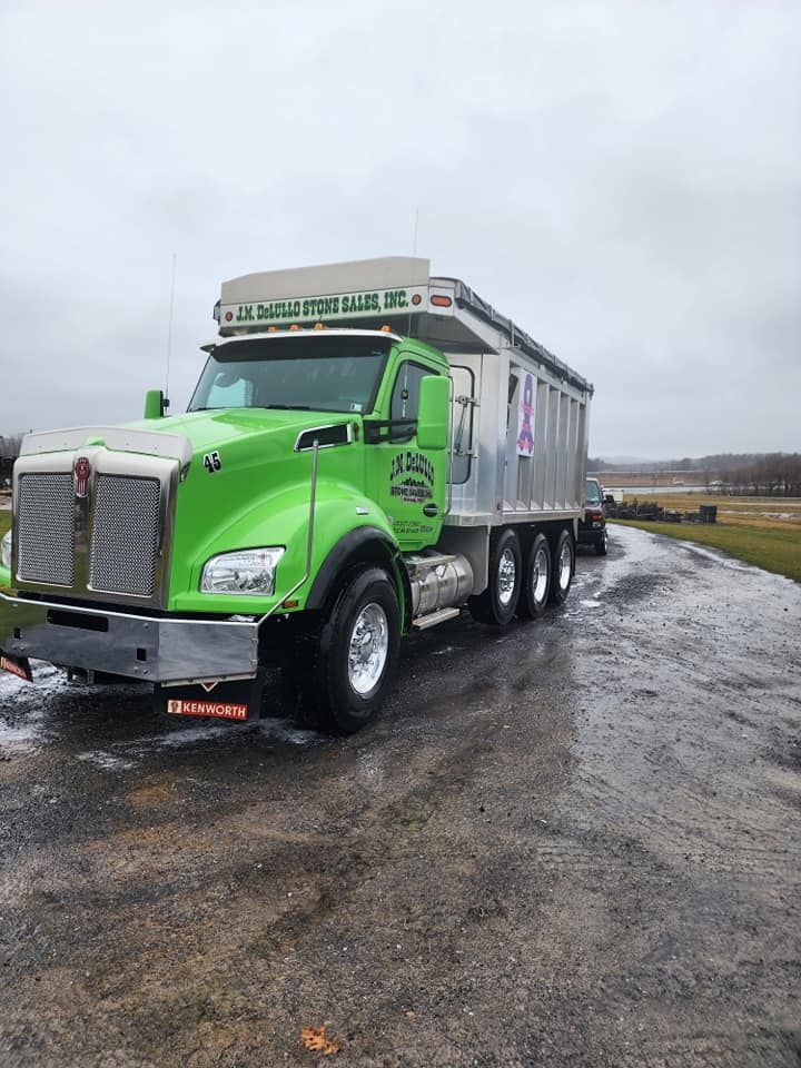 Bright green dump truck parked on a wet road; cloudy sky.