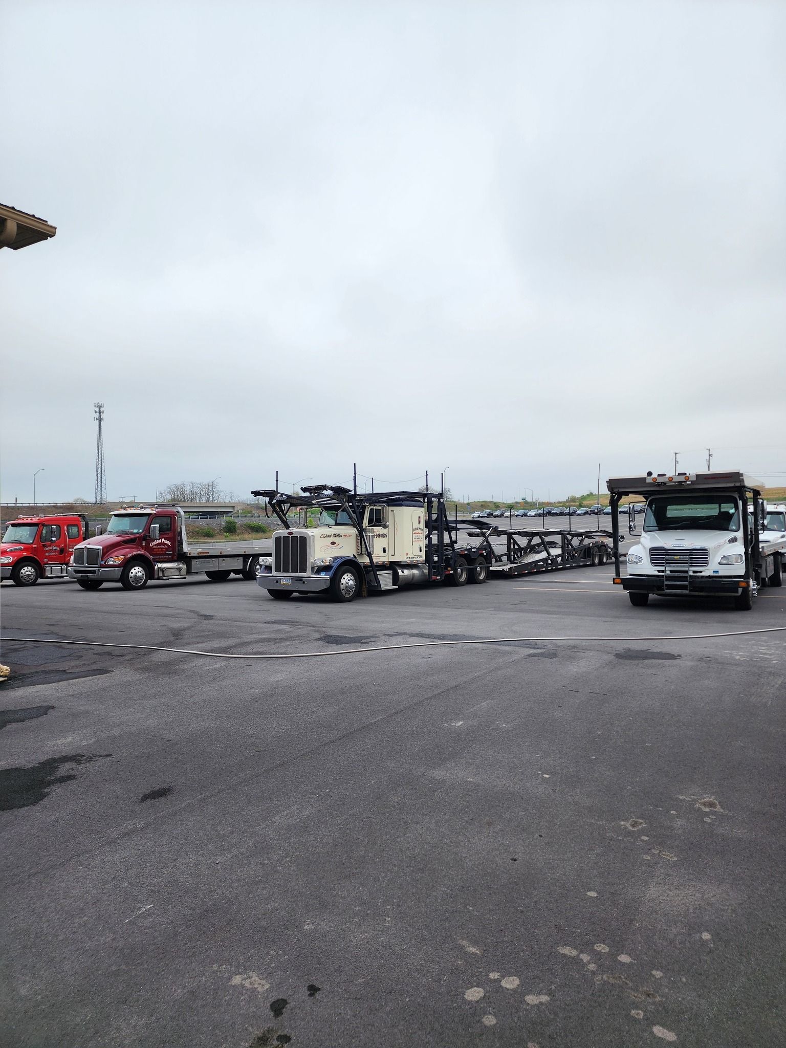 Trucks parked in a lot on an overcast day; beige, red, and white trucks.