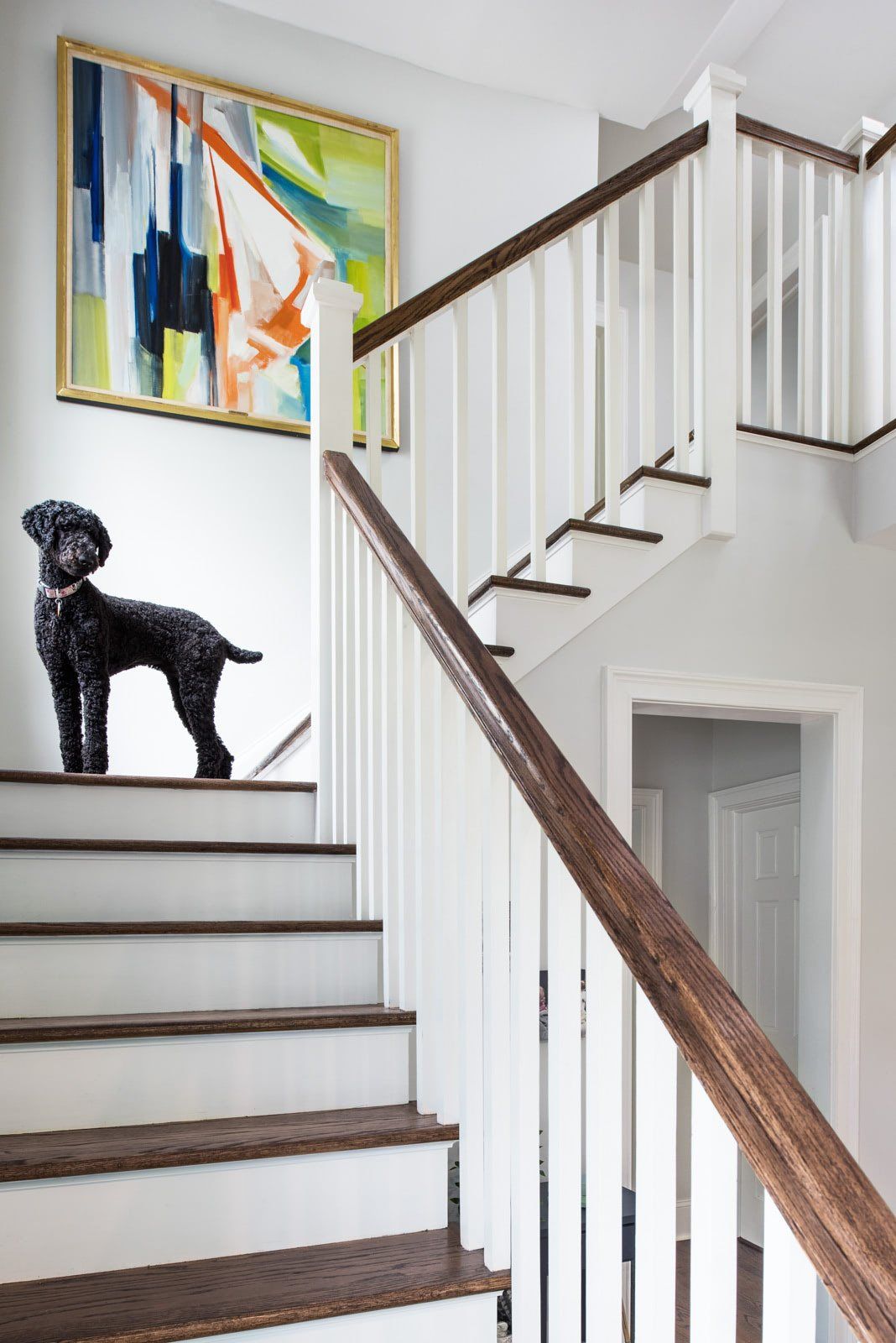 A black dog is standing on the stairs next to a painting.