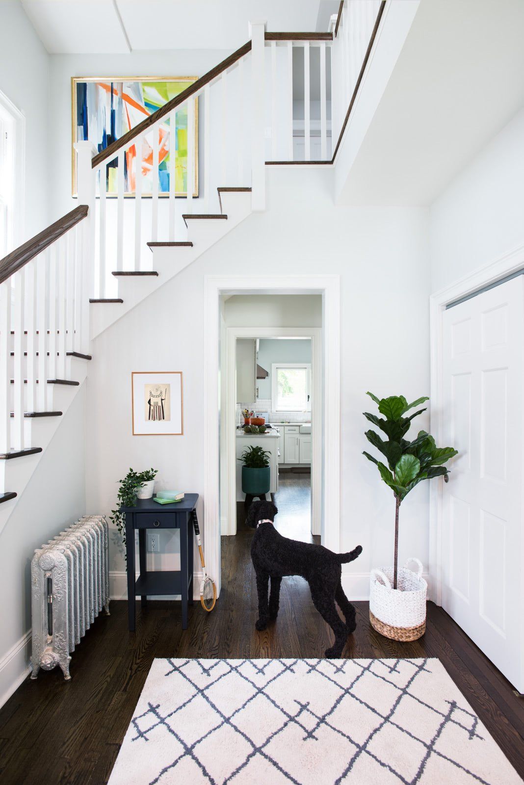 A black dog is standing in a hallway next to a rug and stairs.