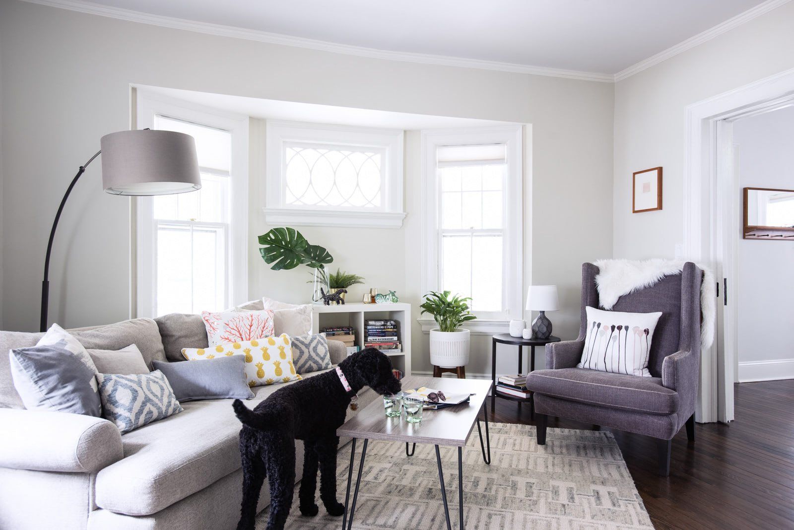 A black dog is sniffing a coffee table in a living room.