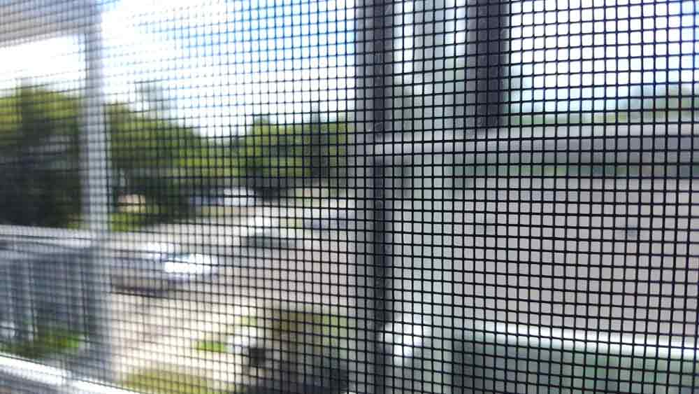 Close up image of security screen door during summer in Brisbane, QLD