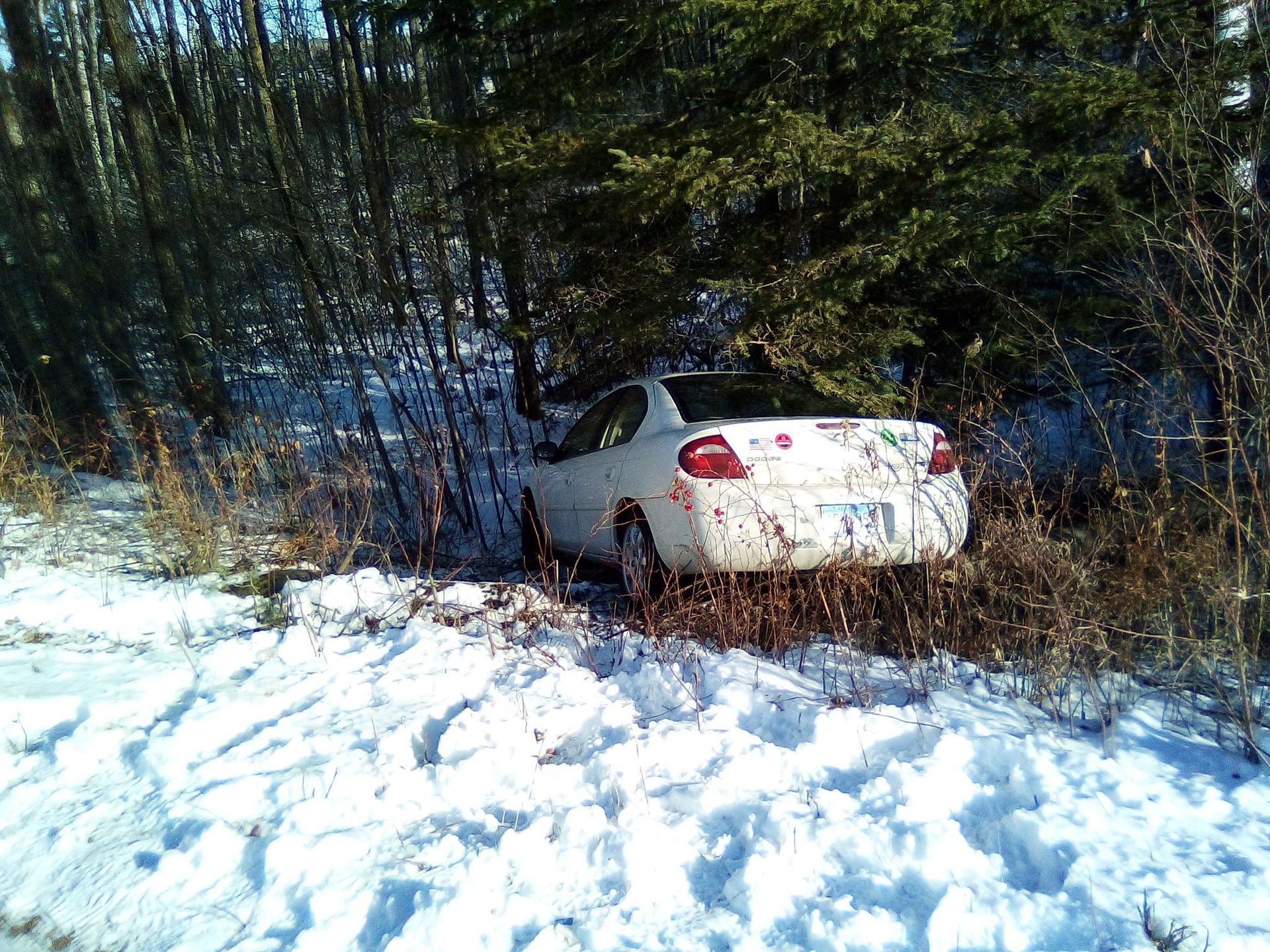 White car stuck in snow near trees.