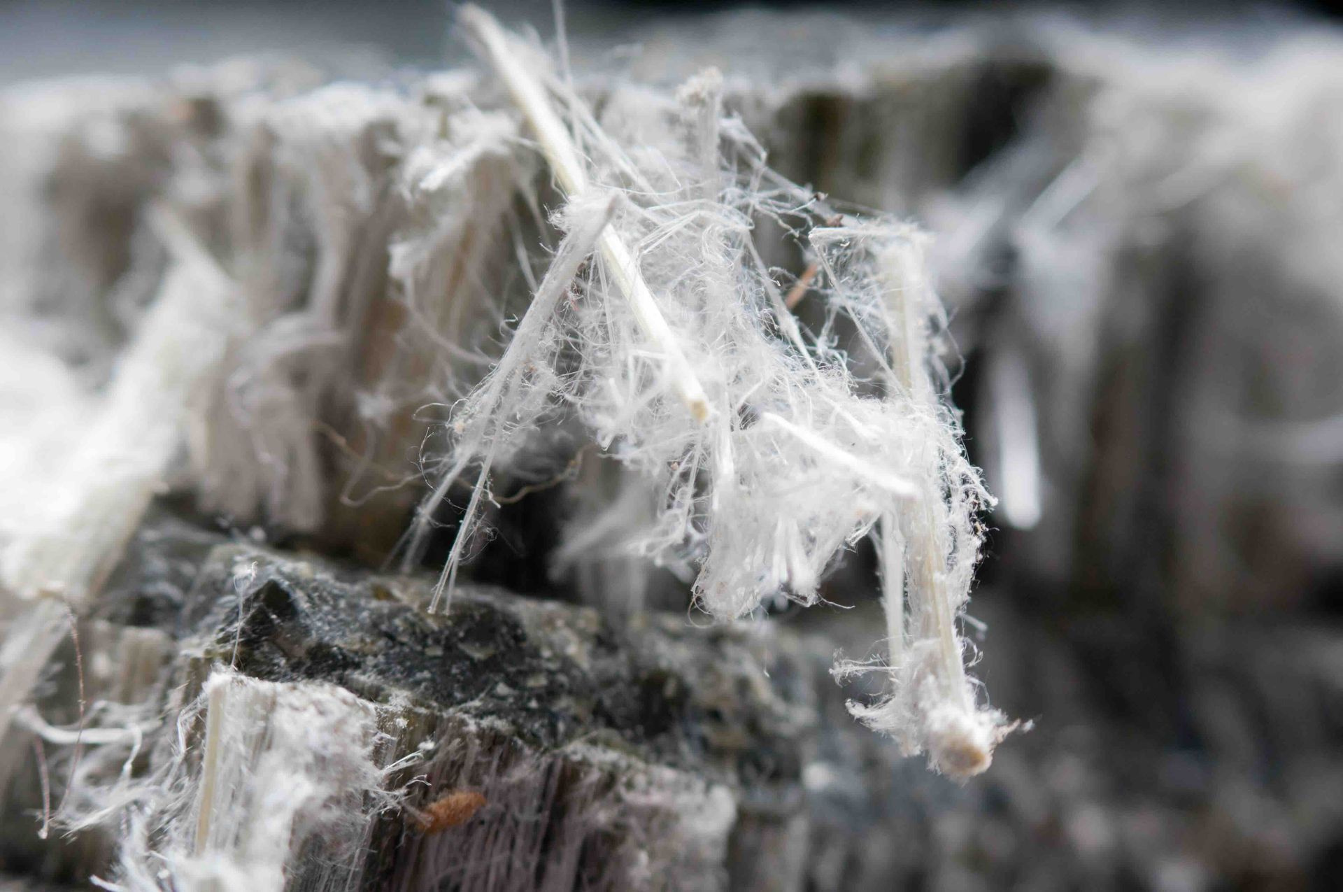 A photo of asbestos fibers in a home that needs a clean up.