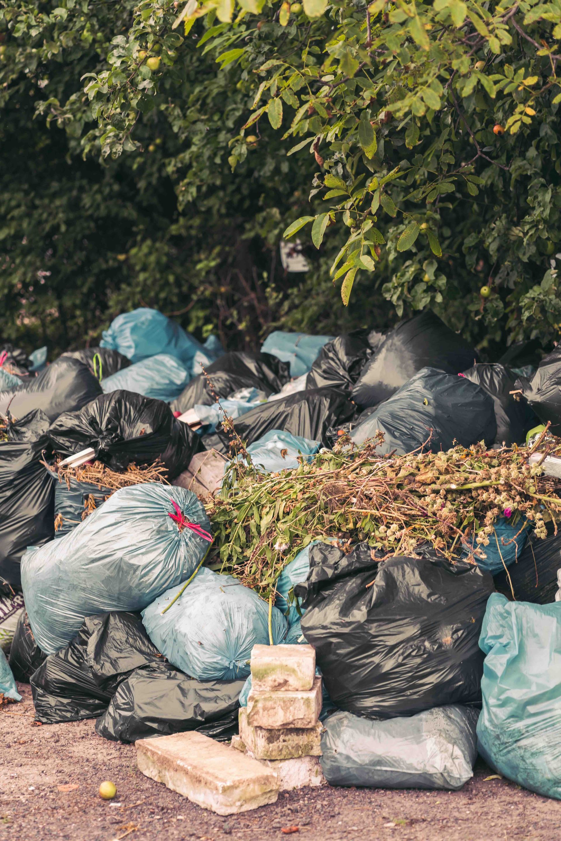 A photo of trash that needs to be collected for yard waste removal.
