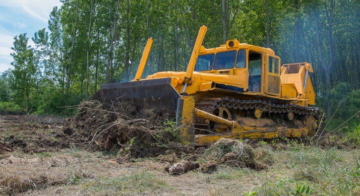 Bulldozer. Eradicating forest