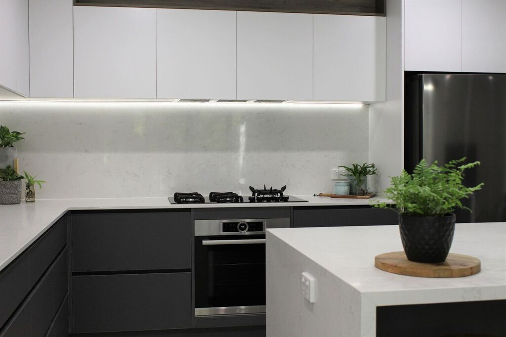 A kitchen with a potted plant on the counter.
