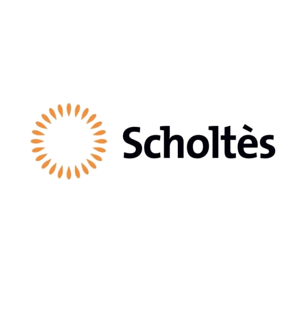 Assistenza Scholtes - Rimini Service