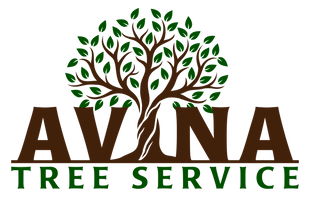 Avina Tree Service