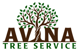 Avina Tree Service