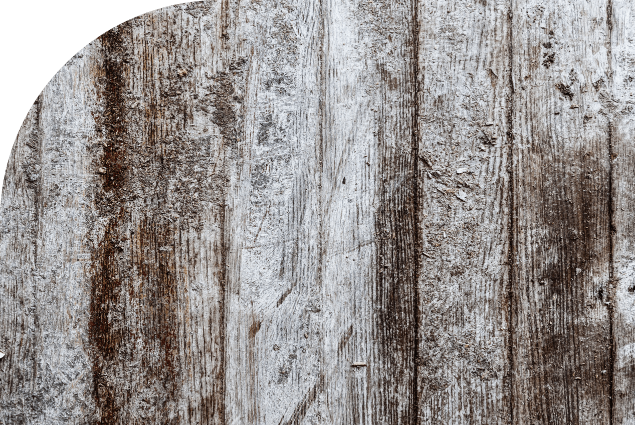 Pale and damaged hardwood floors