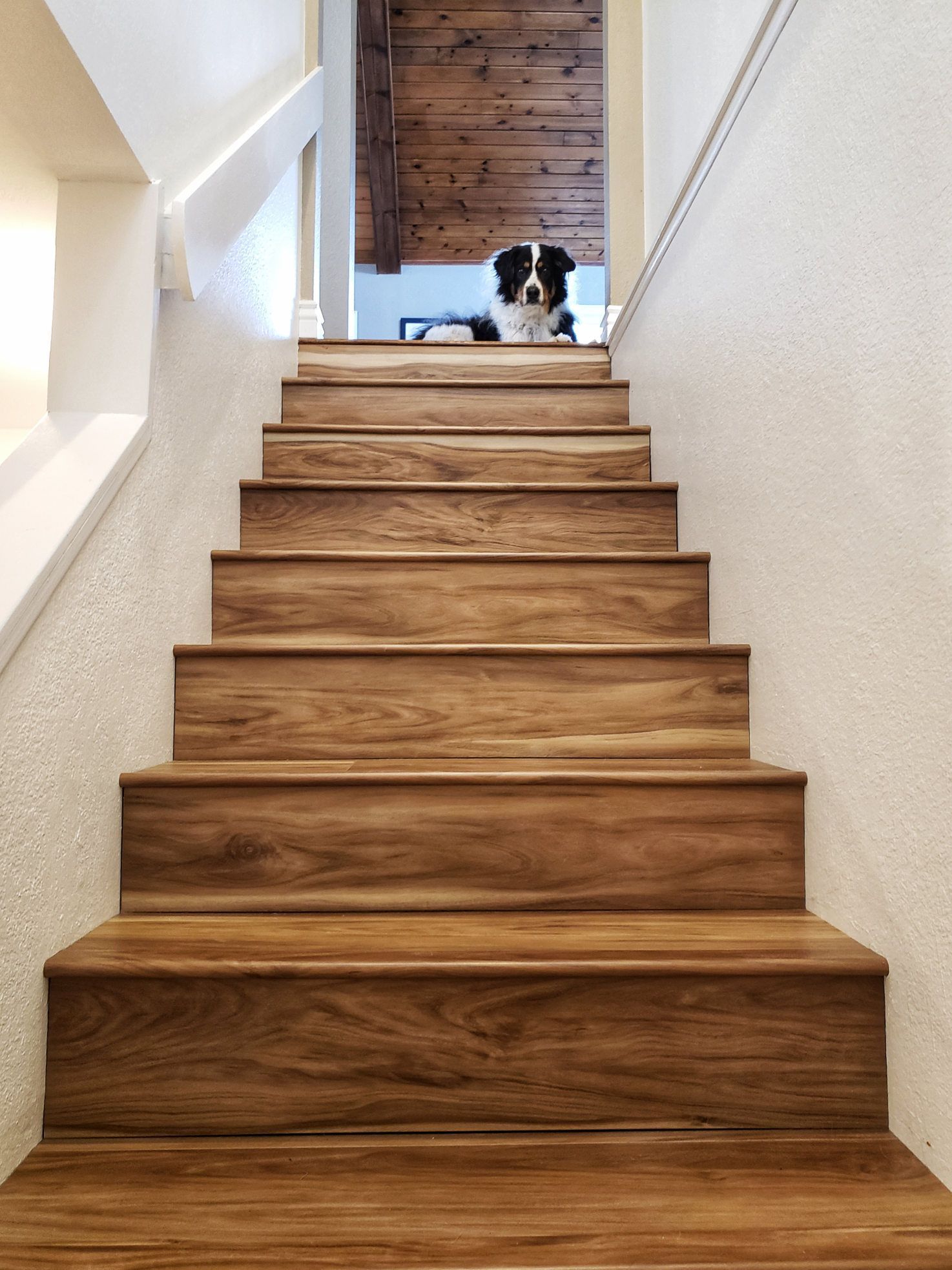 coastal eucalyptus cali vinyl flooring on staircase