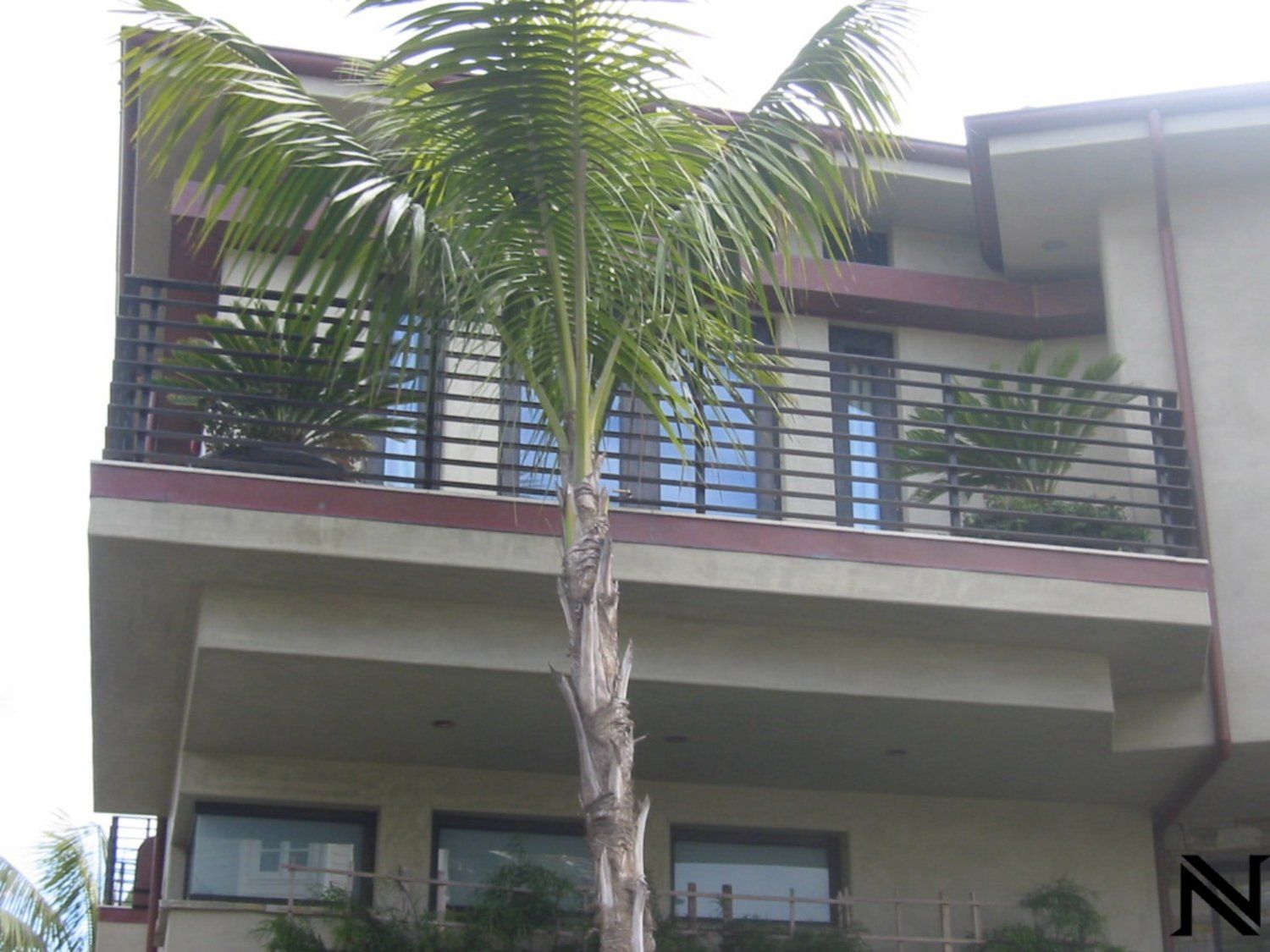 A building with the letter n on the side of it