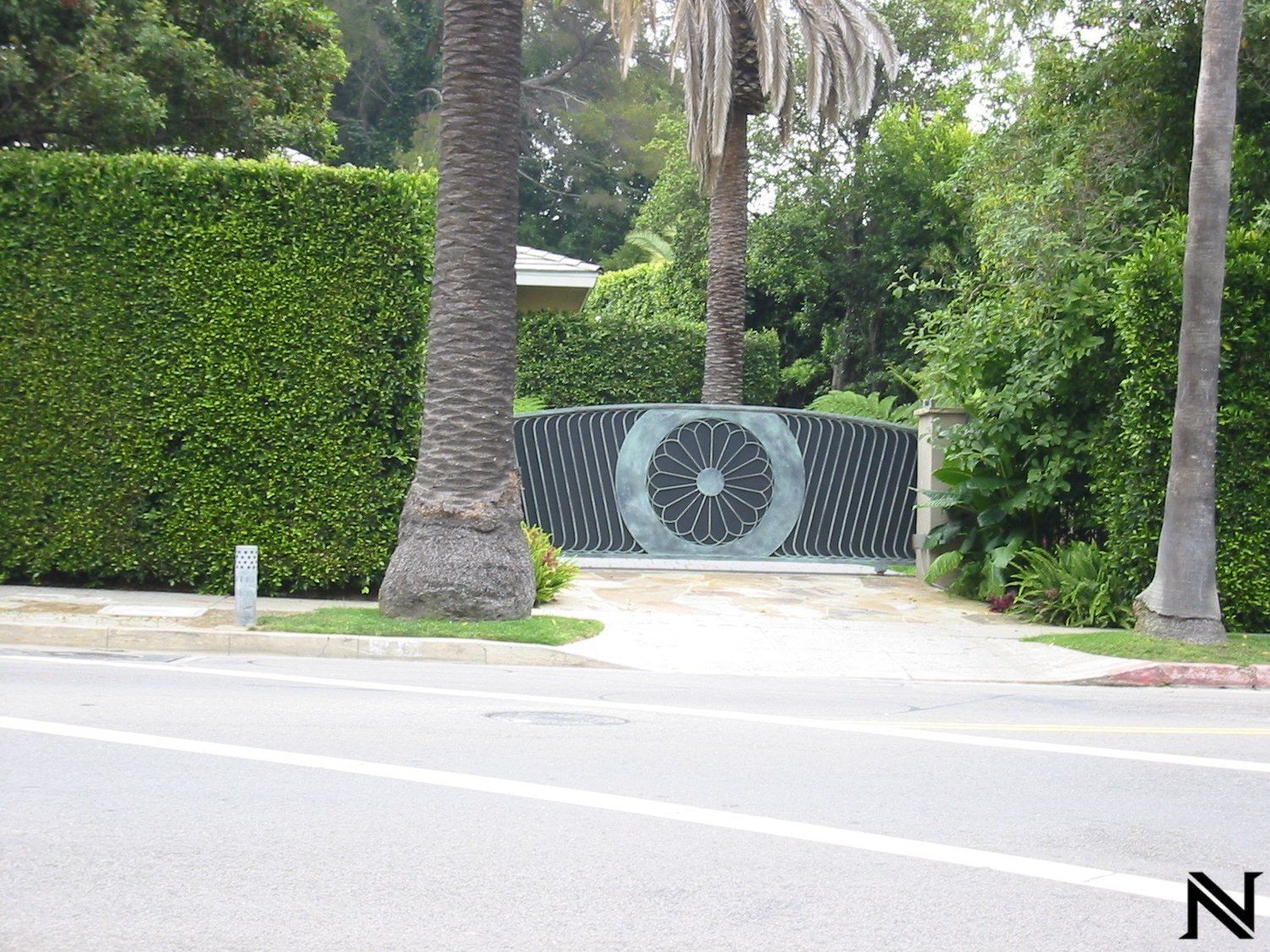 A palm tree stands in front of a gate that says ' o ' on it