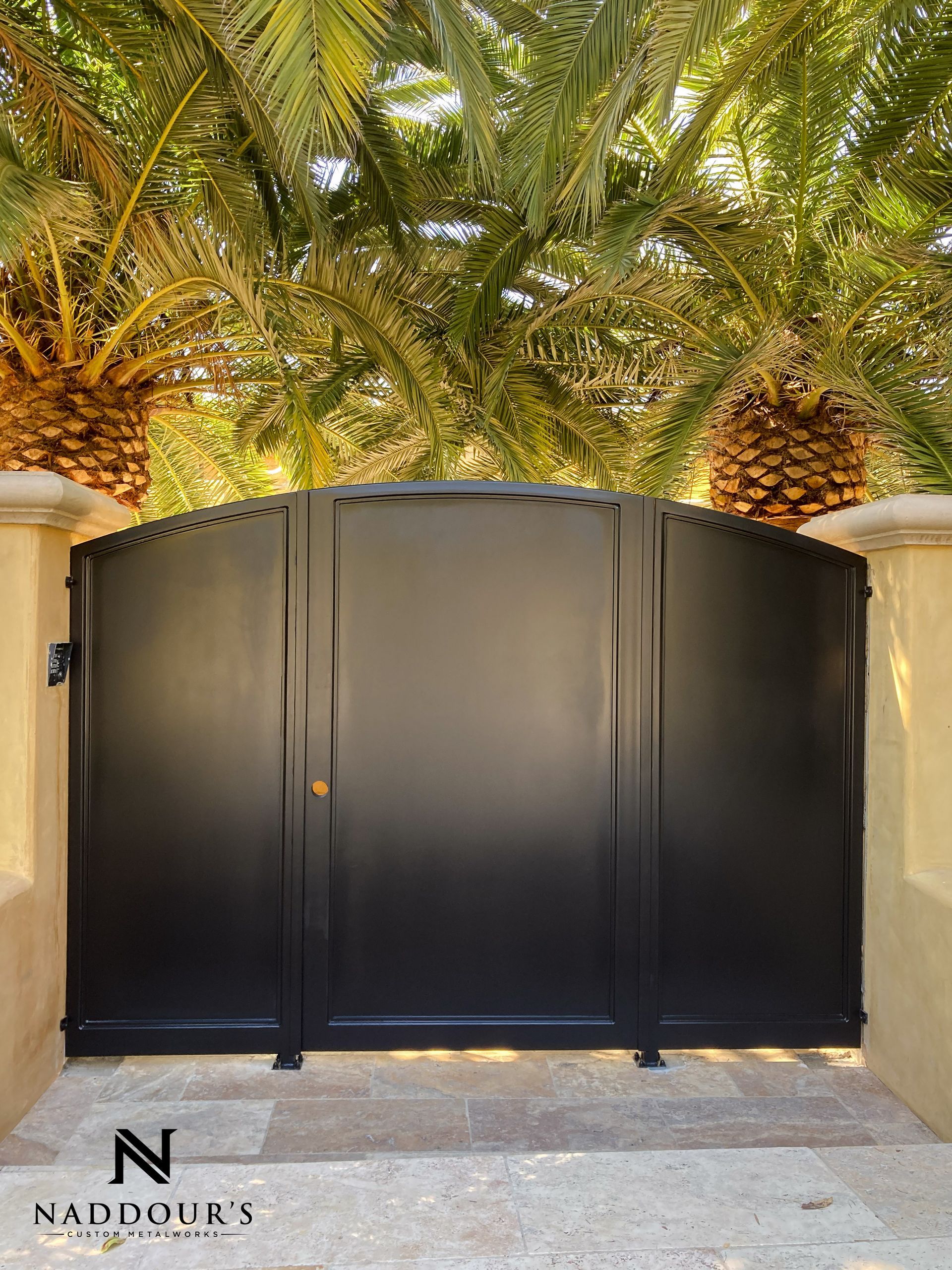 A black metal gate is surrounded by palm trees.